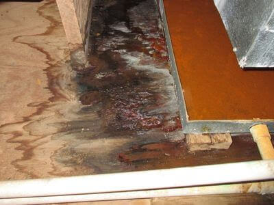 About Joseph Water Damage Mesa - water damage restoration experts in Mesa